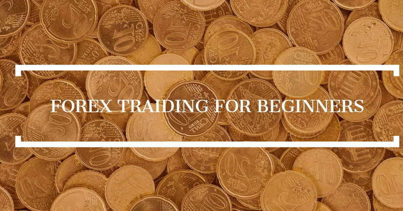 La Guía para principiantes para el trading en Forex