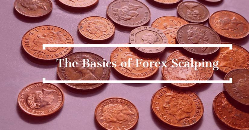 basics of trading forex